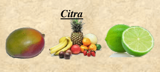 Chmel Citra