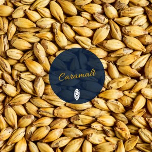 SIMPSONS CARAMALT 1kg