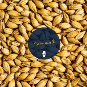 SIMPSONS CARAMALT 1kg